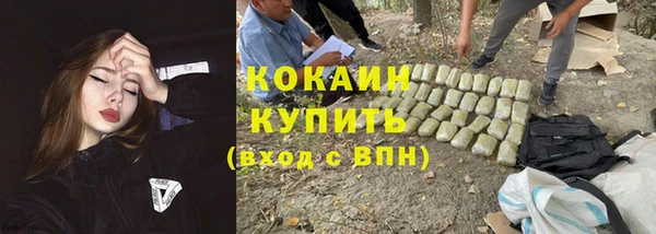 кокс Алексин