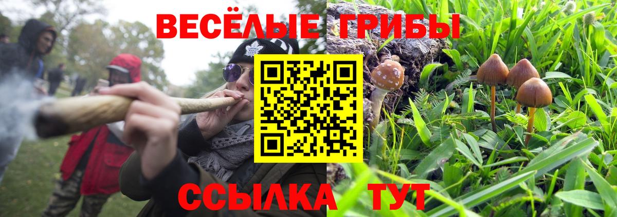 Псилоцибиновые грибы мицелий Черемхово